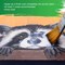 16 oz Matte Acrylic Varnish for Acrylic Painting, Permanent Clear Protection, Reduces UV & Photography Glare